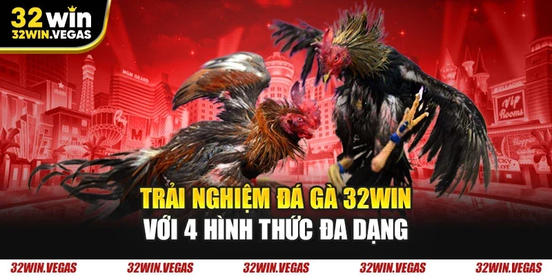 Trải nghiệm đá gà 32WIN với 4 hình thức đa dạng