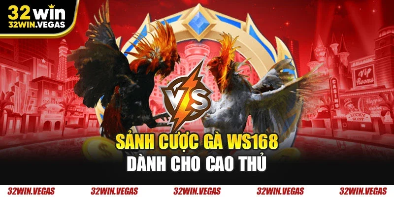 Sảnh cược gà WS168 dành cho cao thủ